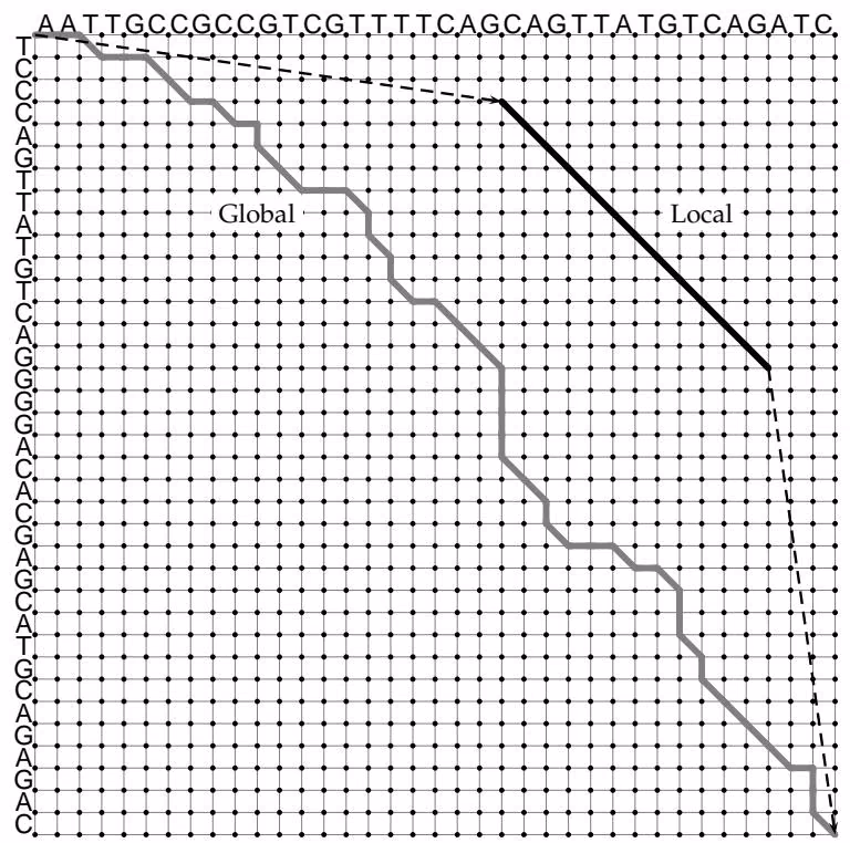 Figure 6 16 (a) Global and (b) local alignments of two hypothetical genes that each have a conserved domain. The local a