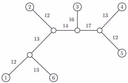 Figure 10 9 A weighted unrooted tree. The length of the path between any two vertices can be calculated as the sum of th