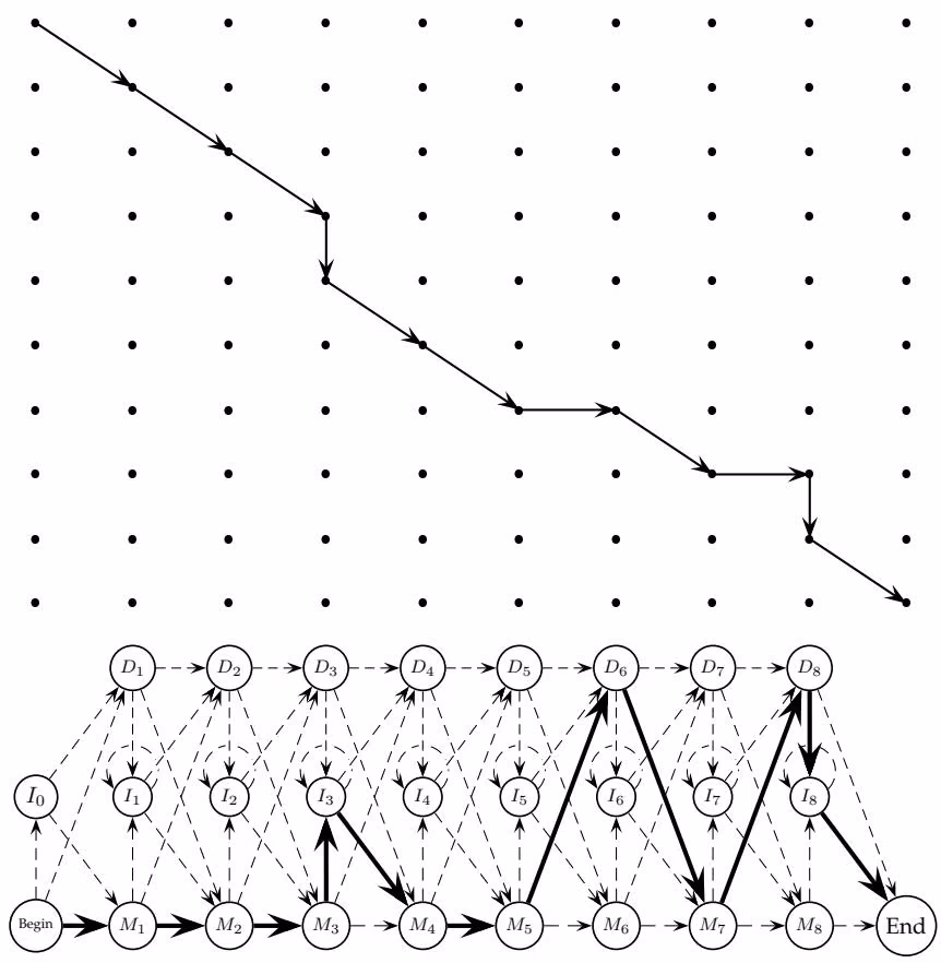 Figure 11<sub>.</sub>6 A path through an edit graph, and the corresponding path through a profile HMM.