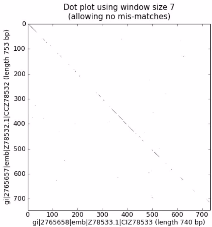 Figure 20.3: Nucleotide dot plot of two orchid sequence lengths (using pylab’s imshow function).