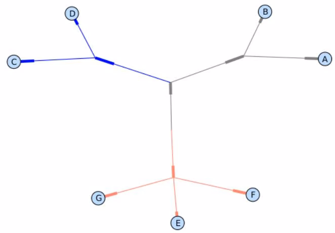 Figure 13.6: A colorized tree drawn with draw graphviz, using neato for node layout.