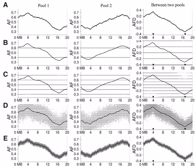 Fig. 1. Simulation study of smoothing AF and AFD using LOESS. Model for simula tion: one chromosome, 20 Mb long, with on
