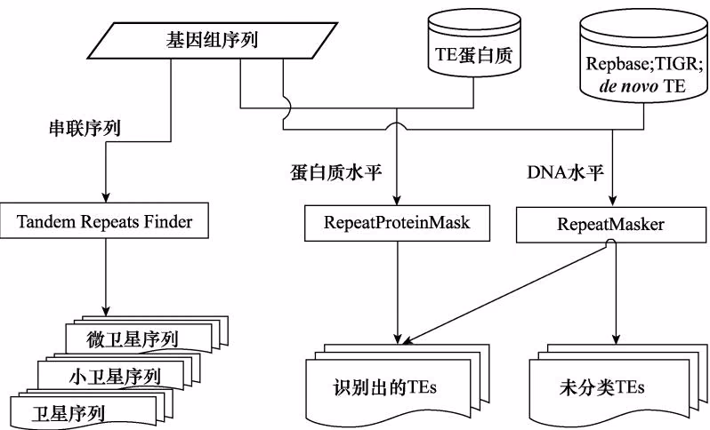 图 5-7 黄瓜基因组中重复序列的整体注释流程