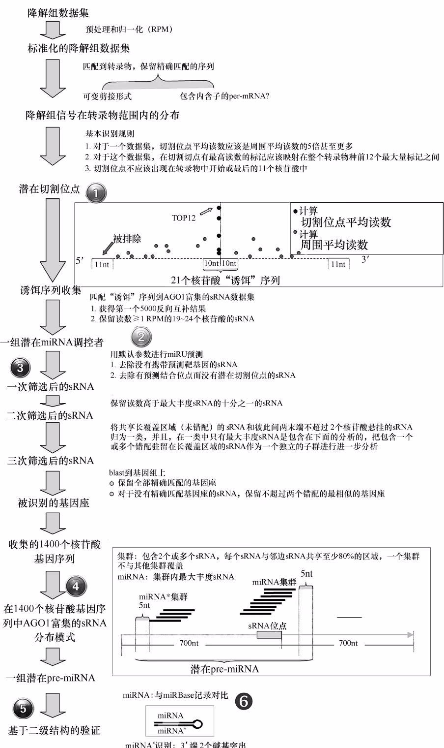 图 7-5 基于靶基因（miRNA）切割信号的植物 miRNA-target 逆向挖掘流程