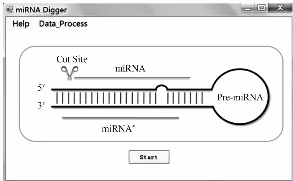 图 7-6 基于前体加工信号的 miRNA 挖掘软件 miRNA Digger