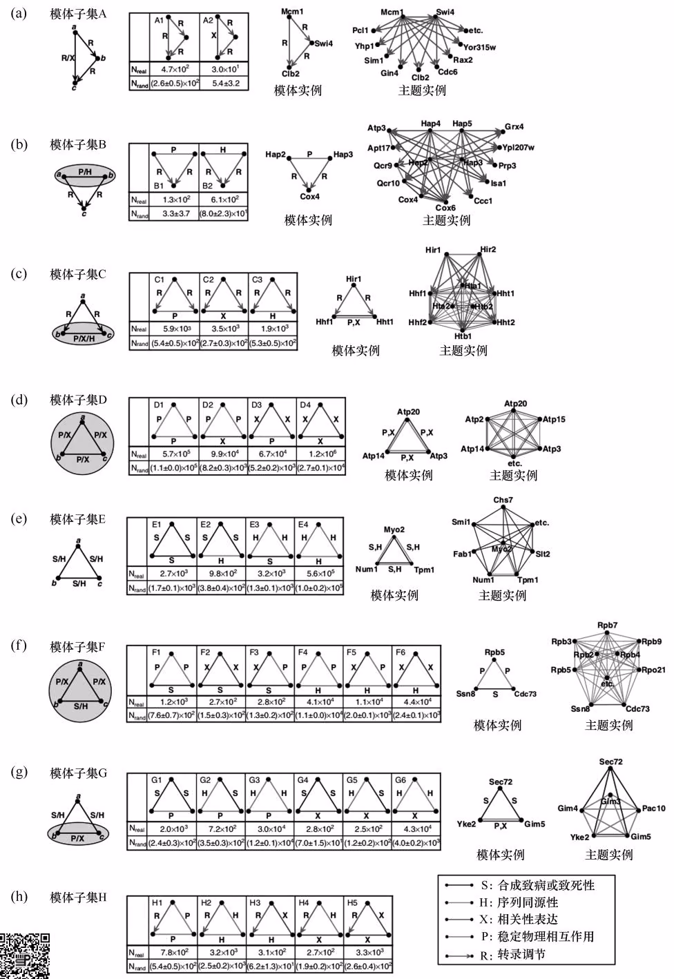 图 9-29 酵母网络中 3 节点模体和对应的网络主题（Zhang et al., 2005）