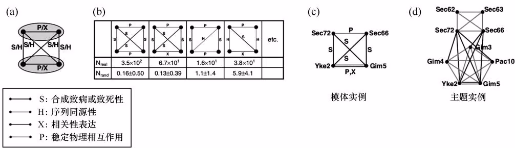 图 9-30 对应于 “补偿蛋白和复合物 / 过程” 主题的 4 节点模体（Zhang et al., 2005）