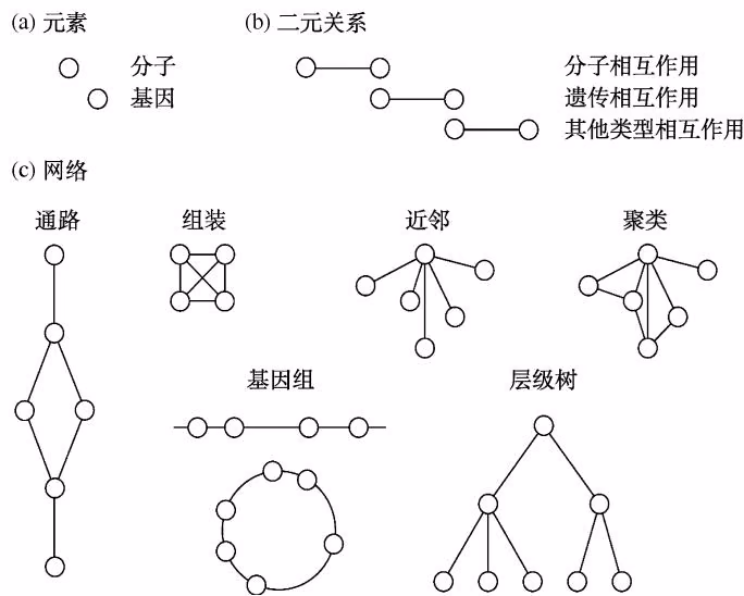 图 9-20 网络表示图