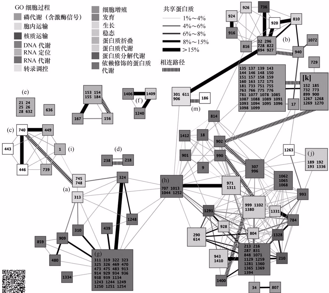 图 9-27 酵母、线虫和果蝇网络中保守簇的模块化结构（Sharan et al., 2005）