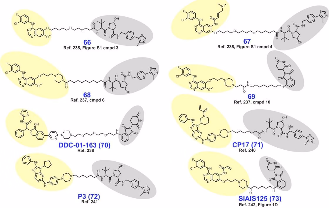 Figure 1: Molecular structure of PROTACs molecules designed to inhibit epidermal growth factor receptor (EGFR). The