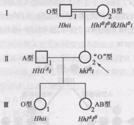 图 4-15 一个孟买型个体的家系（赵桐茂提供）
