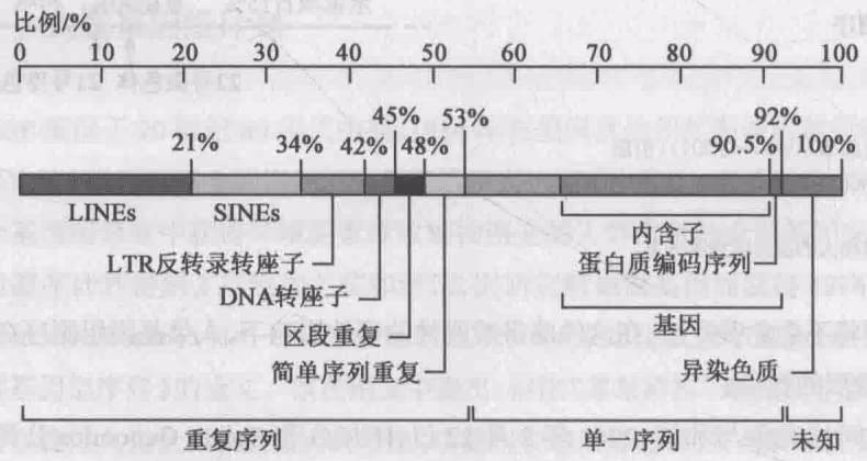 图14-17 人类基因组的序列组成