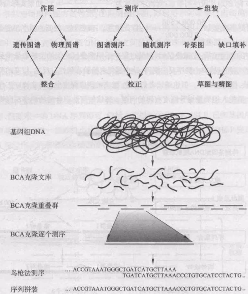 图 14-26 HUGO 进行基因组测序的策略图