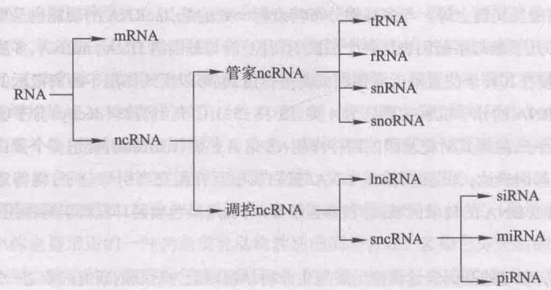 图 15-58 本书主要介绍的 RNA 分子类型
