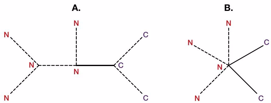 Figure 4.6. Alternative methods for scoring a column in the msa (Altschul 1989b). The variations in column C of Fig. 4.5