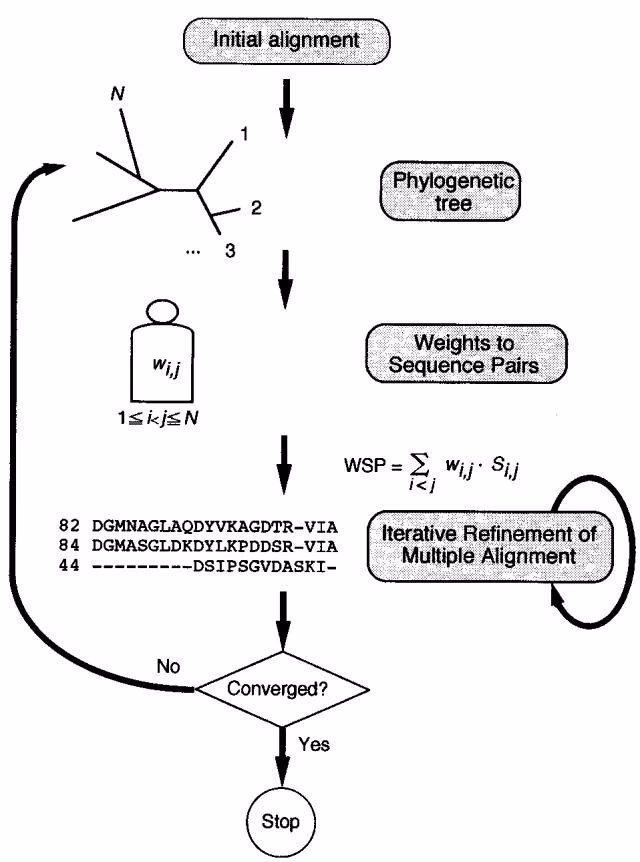 Figure 4.10. The iterative procedures used by PRRP to compute a multiple sequence alignment. (Reprinted, with permission