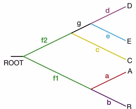 Figure 6.19. Final UPGMA rooted tree for five sequences.
