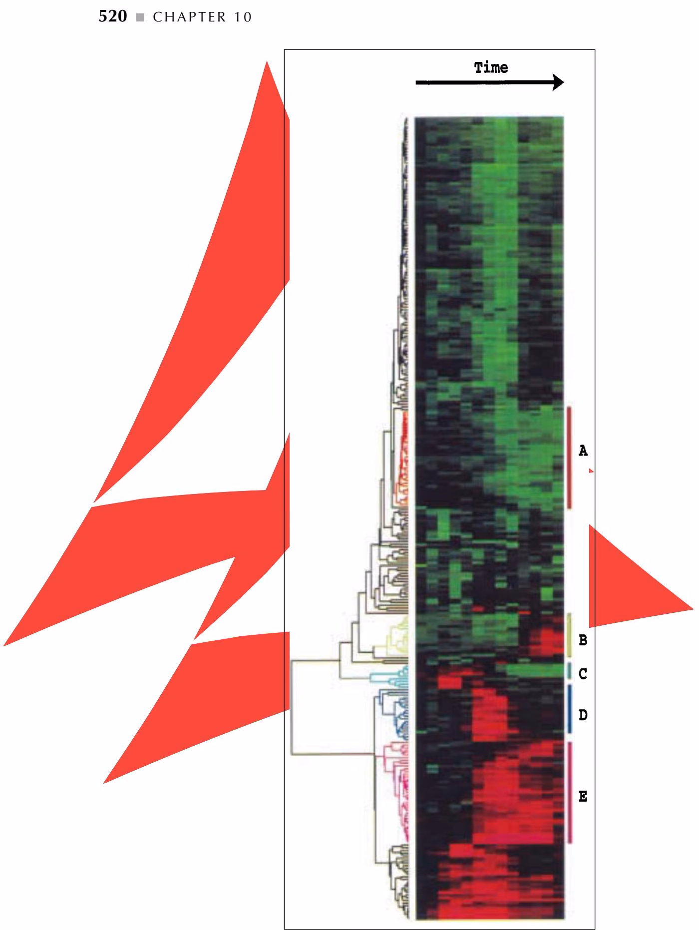 Figure 10.11. Example of cluster analysis of microarray data. Rows represent changes in an individual hybridization sign
