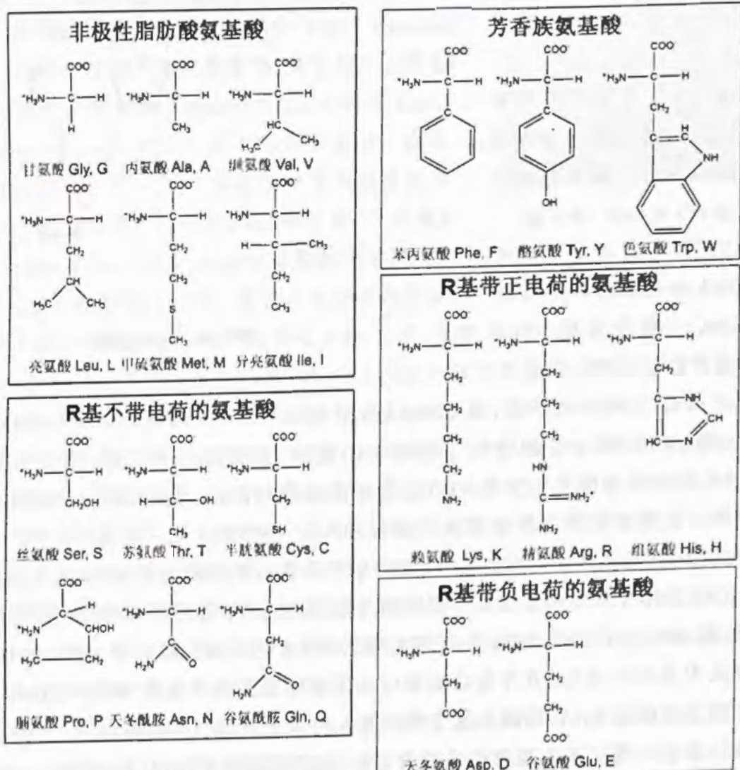 图 1-5 20 种氨基酸的化学结构