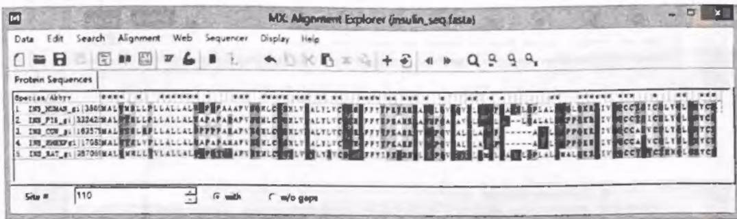 图 6-7 MEGA 序列比对结果