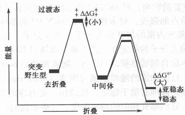 图 3-7 四膜虫 I 型内含子 RNA P4-P6 结构域折叠及能量变化