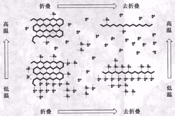 图 4-7 水分子氢键网络结构