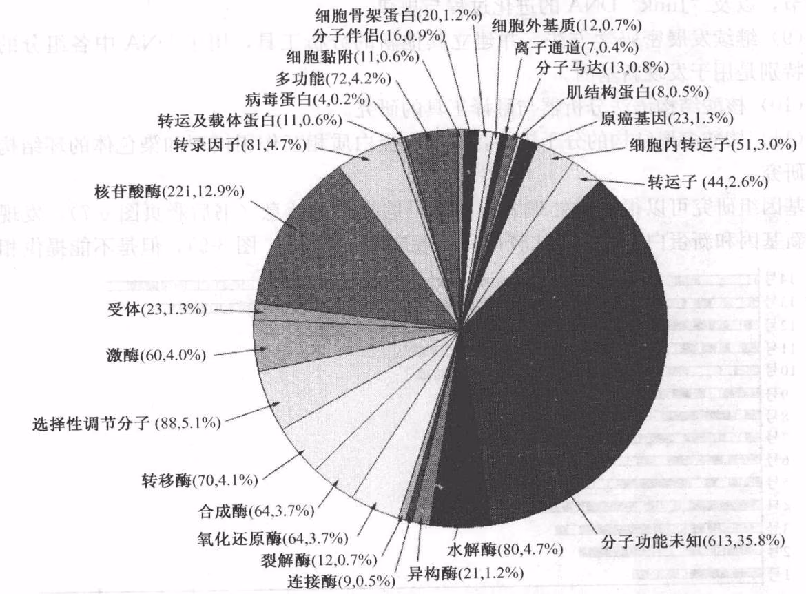 图 6-6 脊椎和无脊椎动物基因组的功能分布(推测)