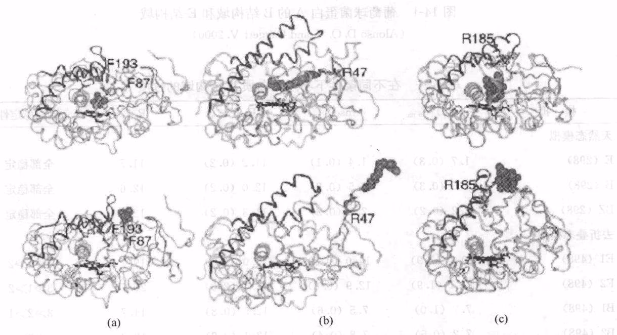 图 14-3 底物沿 pw2a 退出机制(此处展示的是晶体结构及配体退出 REMD 模拟后的快照)