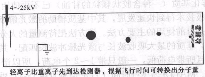 图 18-4 飞行时间(TOF)质量分析器原理图