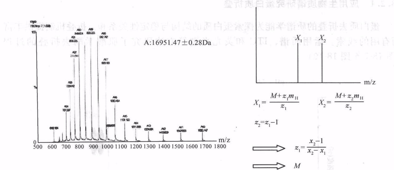 图 18-5 利用质谱计算分子质量