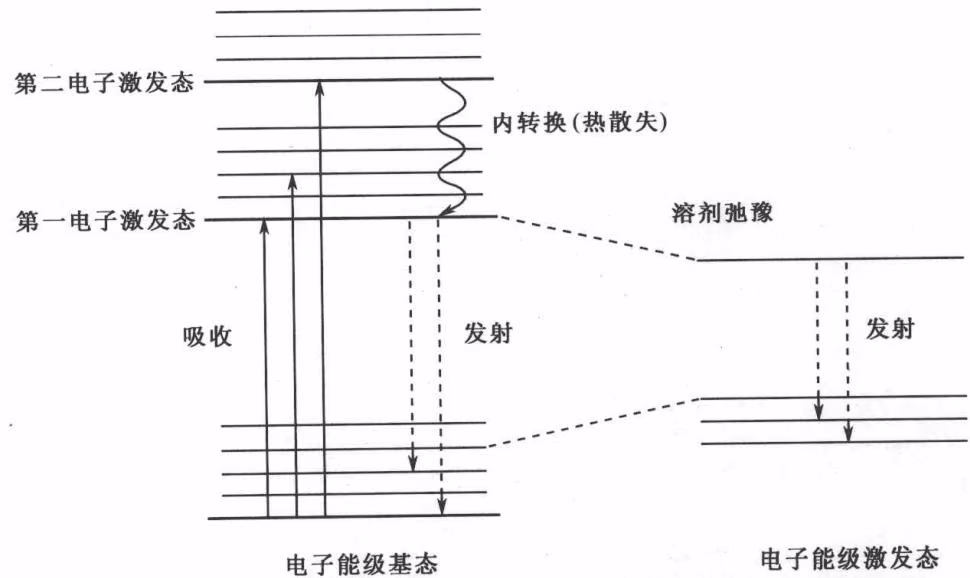 图 20-1 激发态分子的几种弛豫过程