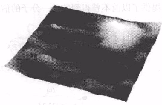 图 22-7 单个红素氧还蛋白分子的高放大倍数 STM 图