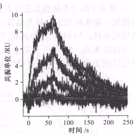 图 23-8 Cd4-gp120 相互作用动力学分析 (Myszka D. G. et al. 2000)