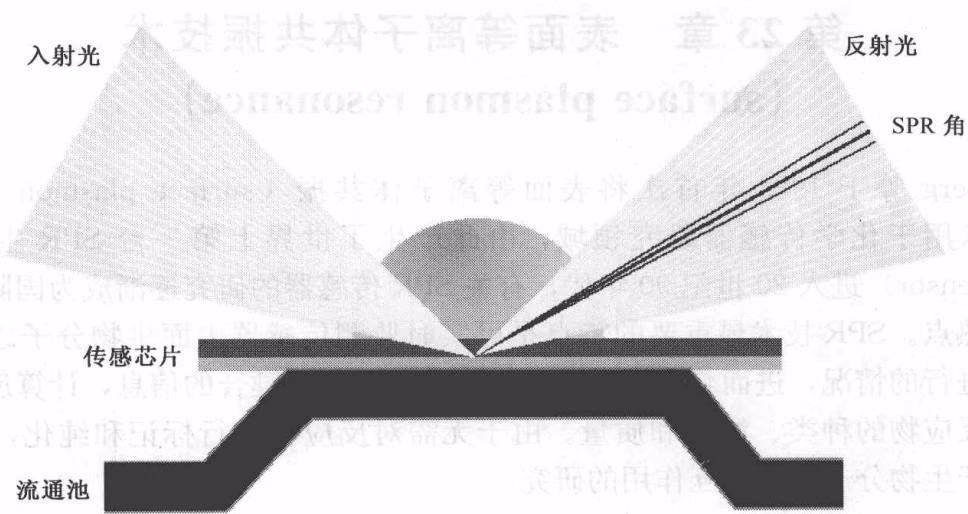 图23-2 BIAcore原理示意图