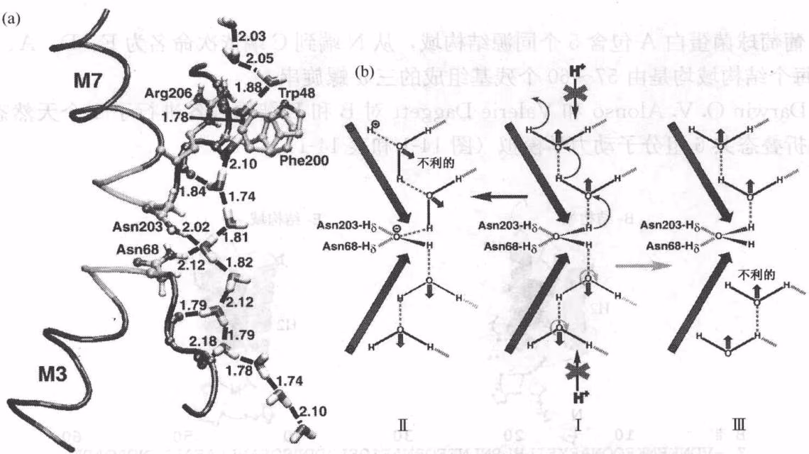 图 14-2 分子动力学模拟过程中的快照
